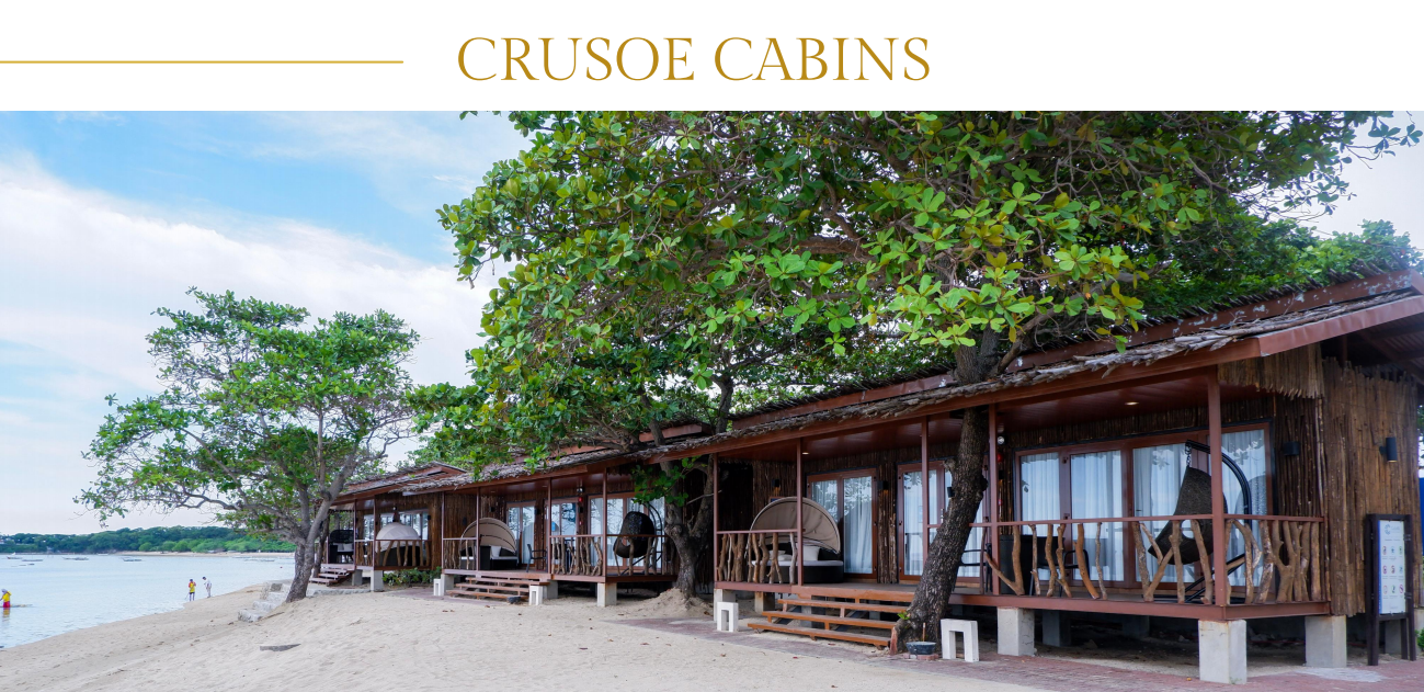 crusoe.png
