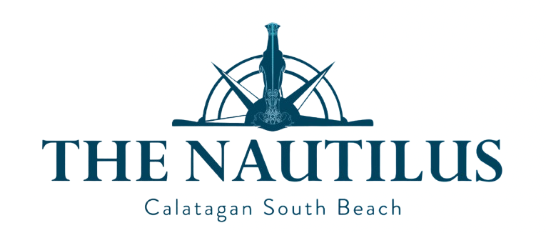 Punta Fuego Logo